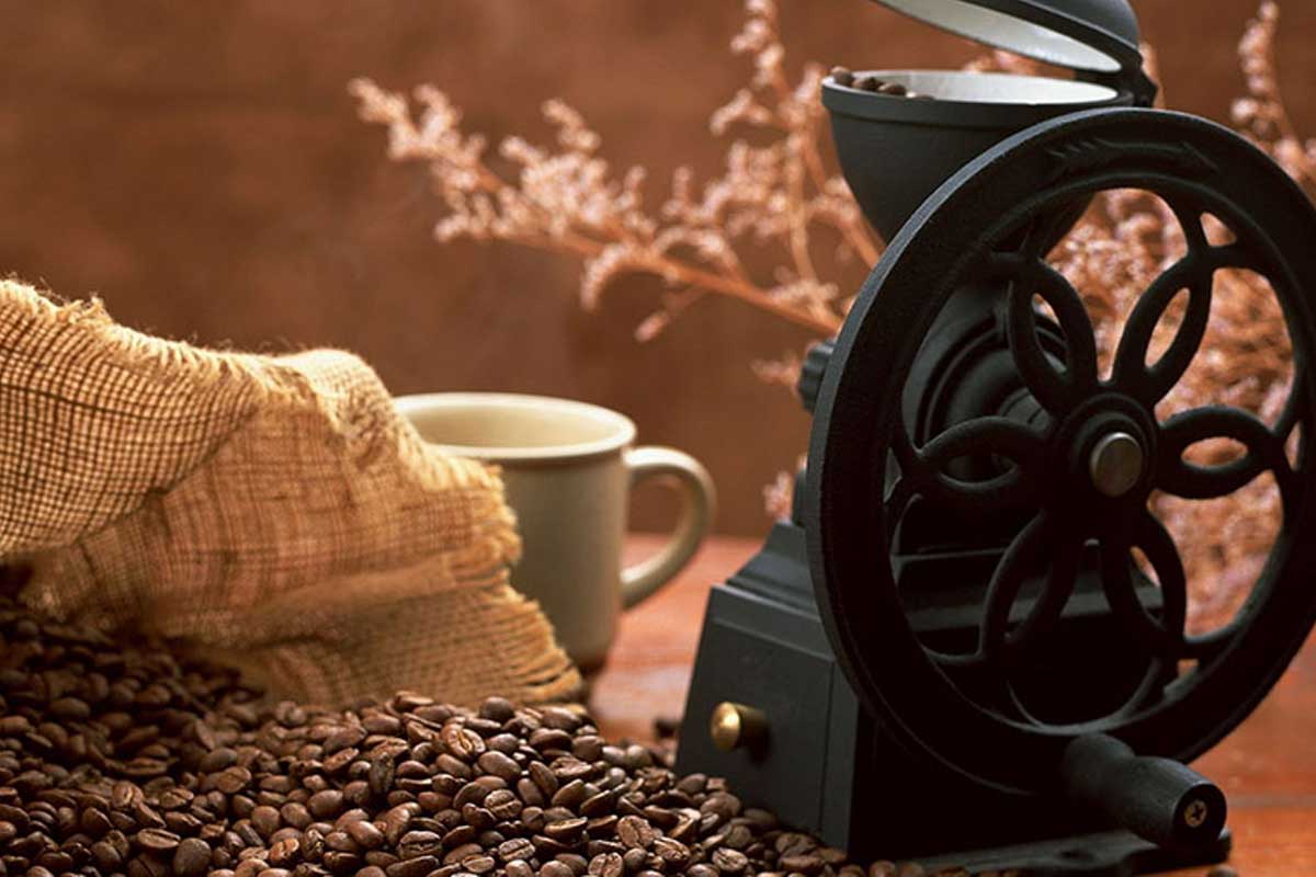 cafe-rang-xay-cach-lua-chon-cafe-rang-xay-de-kinh-doanh-quan-cafe-4