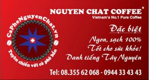 Mua-Ca-Phe-Hat-Nguyen-Chat
