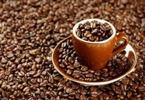 ca-phe-robusta