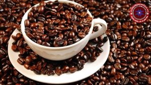 Muốn mua cafe nguyên chất tại đâu để đảm bảo đó thực sự là cafe sạch, tốt cho sức khỏe ? Cùng theo chân Nguyen Chat Coffee để tìm hiểu nhé !