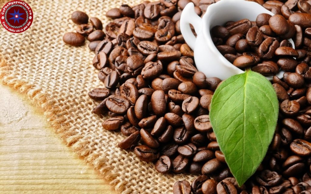 Tìm hiểu những điều cần biết khi mua cafe nguyên chất