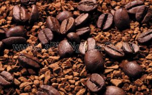 Nguyen Chat Coffee cam kết cung cấp các sản phẩm coffee chất lượng nhất, thơm ngon nhất với giá cả cực tốt
