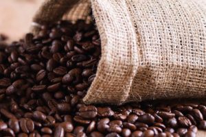 Giá cafe hạt hôm nay (26/3) hồi phục nhẹ đầu tuần