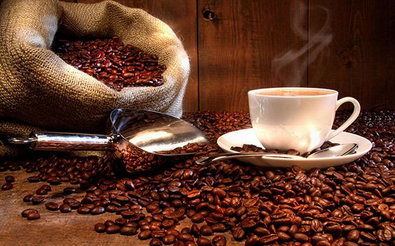 Những Đặc Điểm Của Cà phê Moka – Cầu Đất