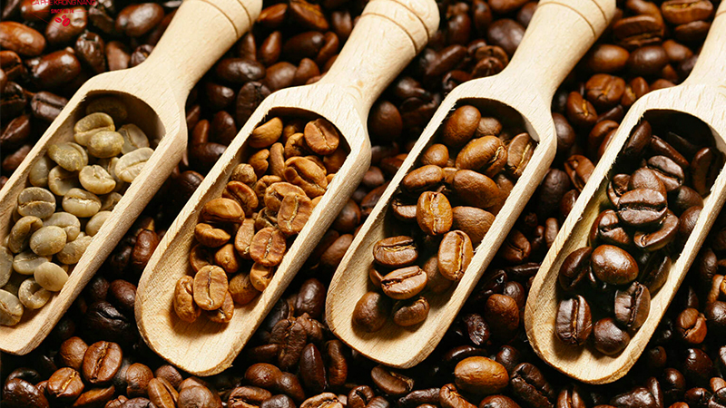 5 sự thật thú vị về cà phê Robusta